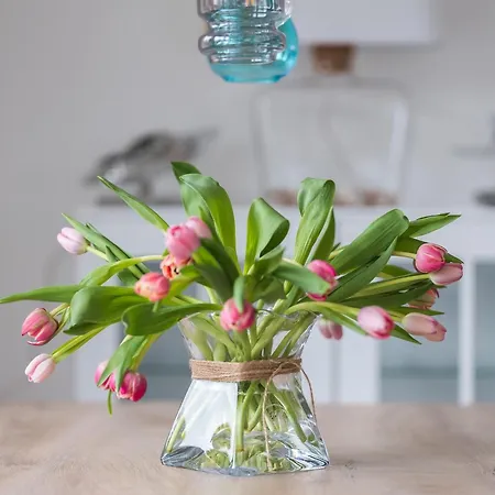 Appartamento Baltic Strandstern Zingst